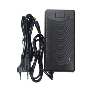 Cargador de batería de plomo 48V 3A  DC2.1